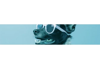 Wauhalla Hunde Grooming Salon