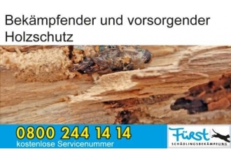 Fürst Schädlingsbekämpfung Fürst Schädlingsbekämpfung