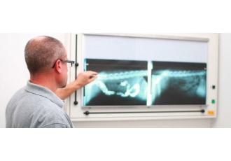 Tierarzt für Kleintiere in Lauf – Dr. Uwe Reinhard Tierarzt für Kleintiere in Lauf – Dr. Uwe Reinhard