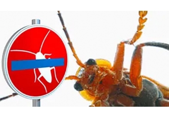 Fürst Schädlingsbekämpfung Fürst Schädlingsbekämpfung