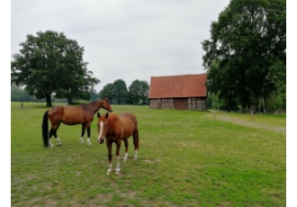 Tierpension in Waltrop – Hof-Schulze-Langenhorst Tierpension in Waltrop – Hof-Schulze-Langenhorst