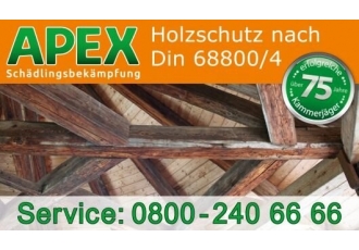 APEX Schädlingsbekämpfung APEX Schädlingsbekämpfung