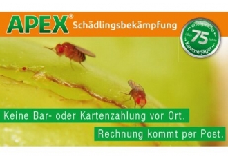 Schädlingsbekämpfung in Dortmund – APEX Schädlingsbekämpfung in Dortmund – APEX