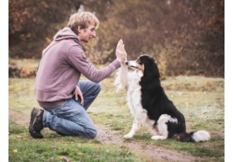 Hundeschule Helges Hundehütte Hundeschule Helges Hundehütte