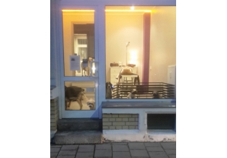 Hundefriseur in Markkleeberg – Dog Lounge
