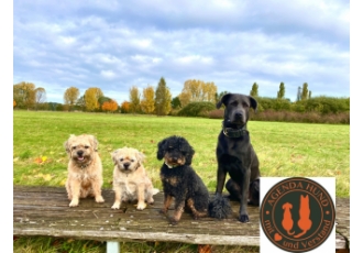 Hundeschule in Langenhagen – Agenda-Hund