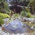 Meisterbetrieb Gartengestaltung
  