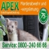 Apex hilft Jahren Apex hilft Jahren