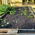 Blumen In  beim