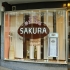 Sakura unserer  in