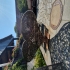 Wie Hause im Wie Hause im
