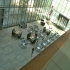 Museum bildenden  Video