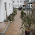 Professioneller Garten Professioneller Garten
