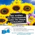Willkommen gut  Grundstücke