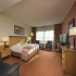 In attraktiven  Elbflorenz