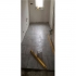 Die X gegründet Die X gegründet