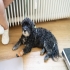 Unsere   von
