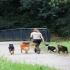 Hundetraining   Yvonne