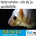 Fürst bekämpft wie Fürst bekämpft wie