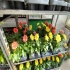 Blumen In  beim