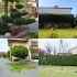 Gartenarbeiten Art  Baumfällung