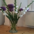 Eventfloristik
Blumendekorationen eine Ihren Eventfloristik
Blumendekorationen eine Ihren