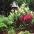 Meisterbetrieb Gartengestaltung
  