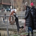 Hundeschule unserer  individuelle