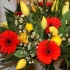 Schnittblumen Topfpflanzen
in Schnittblumen Topfpflanzen
in