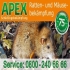 Apex hilft Jahren Apex hilft Jahren