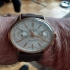 Juwelier ist  in