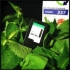Recycelte alternative und Recycelte alternative und