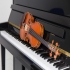 Musikschule der  |