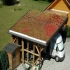 Denne –  Steildach