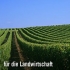 TONI u  zur