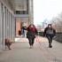 Hundeschule unserer  individuelle