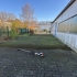 Scheyer bietet rund Scheyer bietet rund