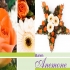 Blumen ist Fachgeschäft Blumen ist Fachgeschäft