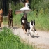 Hundetraining   Yvonne